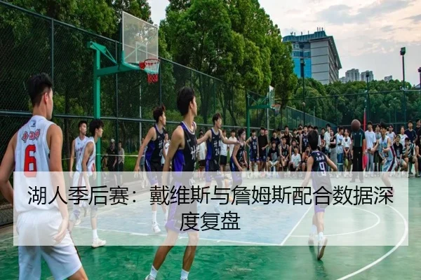 湖人季后赛：戴维斯与詹姆斯配合数据深度复盘